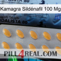Kamagra Sildénafil 100 Mg 44